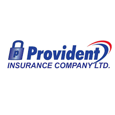 Provident Insurance Company